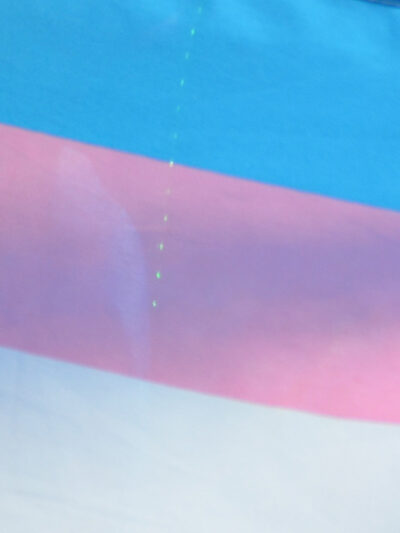 trans flag header