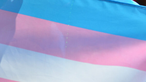 trans flag header
