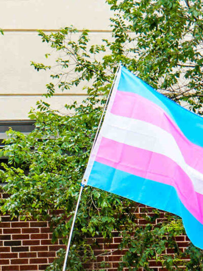 Trans Flag flying