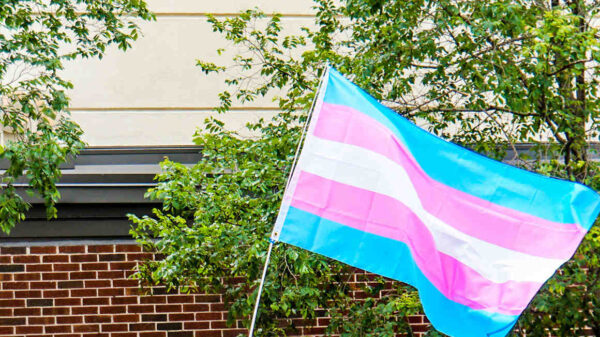 Trans Flag flying