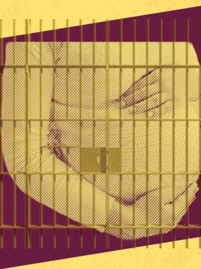 End Pregnant Shackling - HB 1294