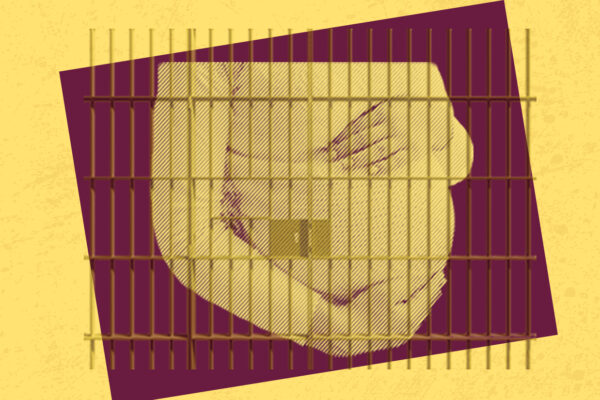 End Pregnant Shackling - HB 1294