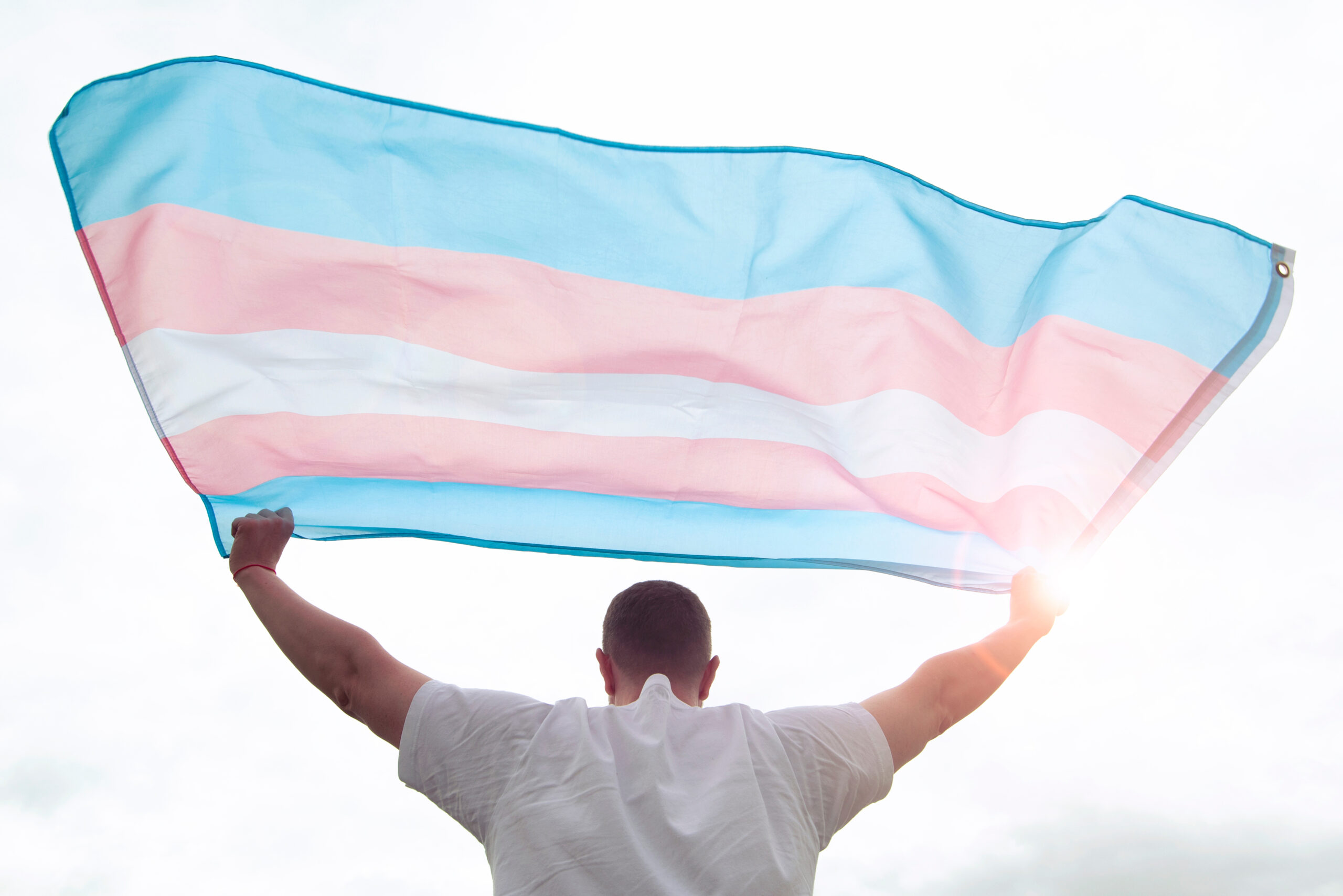 ACLU of Indiana and American Civil Liberties Union Request En Banc ...