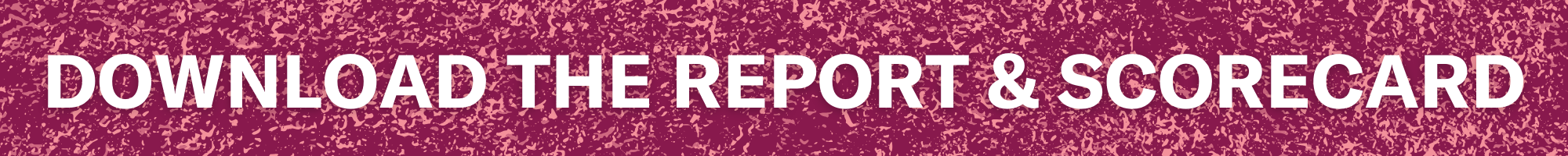 Download the Report & Scorecard