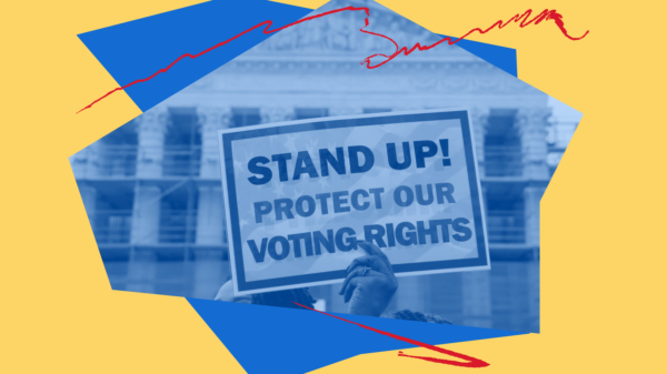 Election Protection