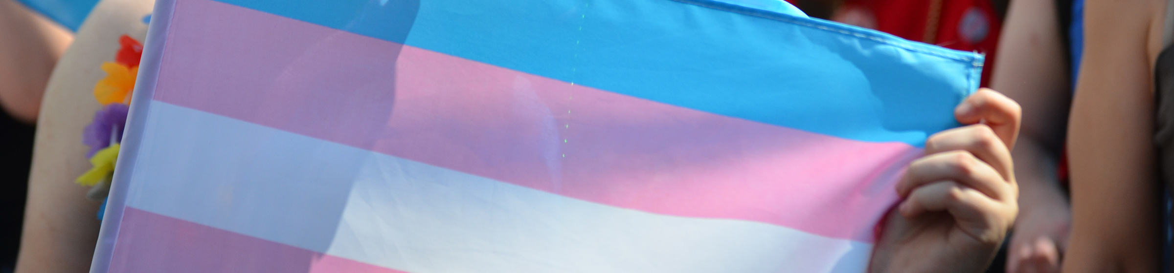 trans flag header