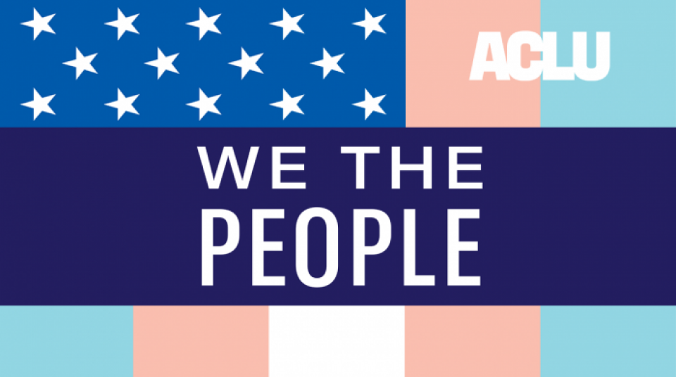 We the People trans flag