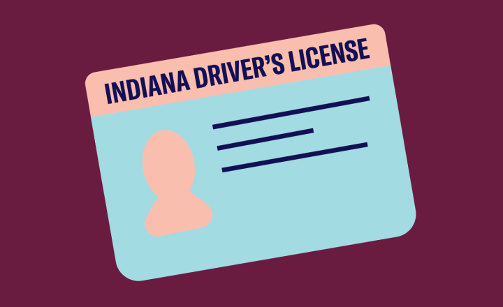 A graphic of of a rectangle labeled "Indiana driver's license"