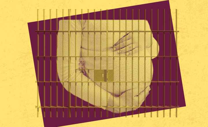 End Pregnant Shackling - HB 1294 End Pregnant Shackling - HB 1294