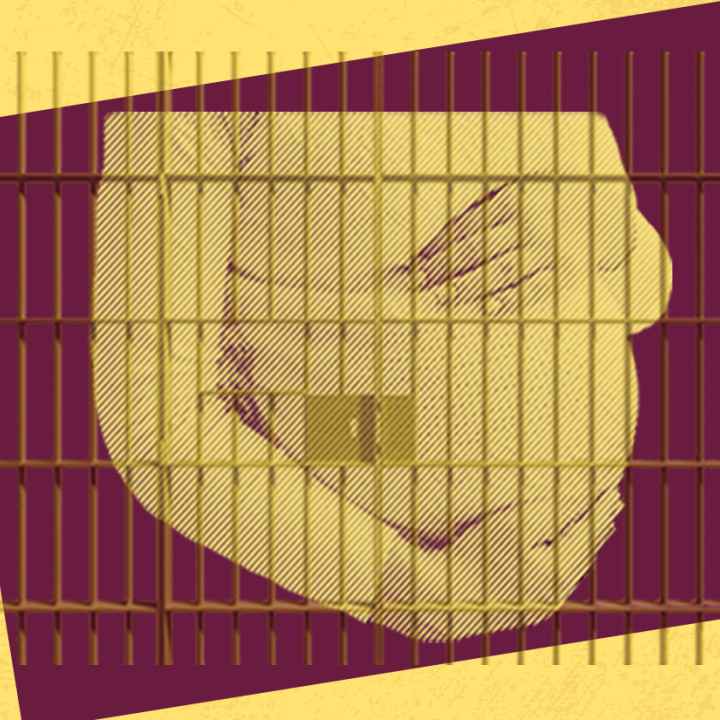 End Pregnant Shackling - HB 1294 End Pregnant Shackling - HB 1294